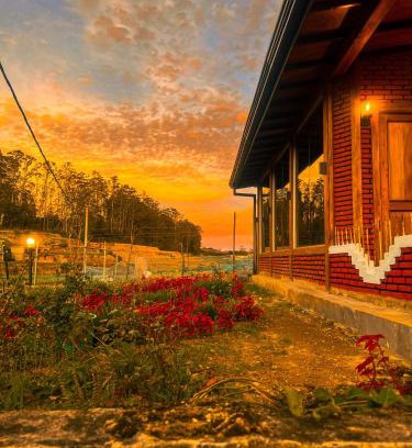 Nuwara Eliya Hotel | Little England Cabins