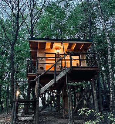 Moravske Toplice Apartment | Living Forest Resort