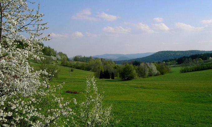 Kirchdorf im Wald House | Living in nature at the Bavarian Forest National Park. Award-winning garden