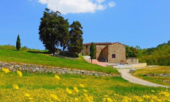 Greve in Chianti House | Locazione turistica Selvapiana by Interhome