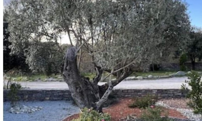 Cazevieille House | Lodge Saint Loup Pour 4 Personnes