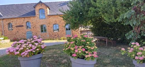 Ahuille House | Logis de la Provosterie - CYCLAMEN