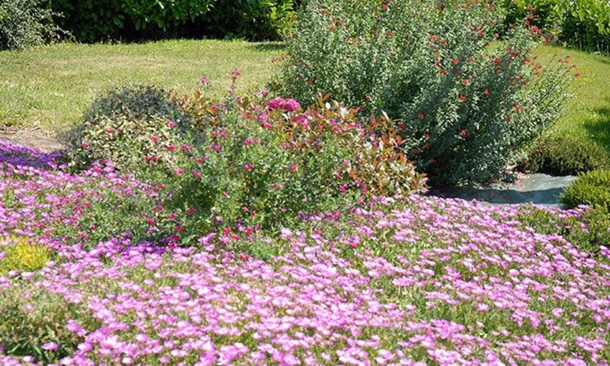 Plerin Hotel | Logis Hôtel Au Chêne Vert