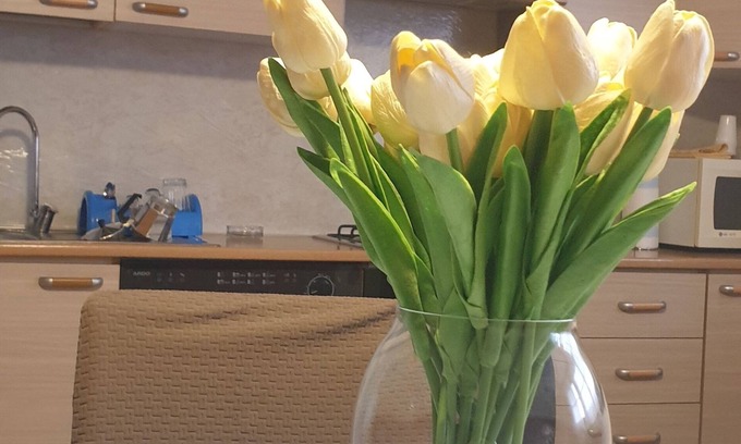 Parma Apartment | Love nest Parma