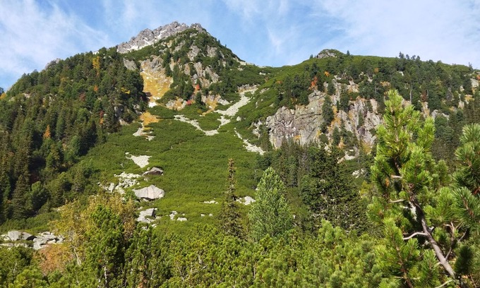 Nova Lesna House | LUCKY Kitten