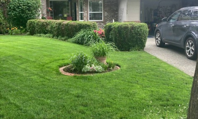 Walnut Grove Apartment | Luxe Lower Private Suite Escape