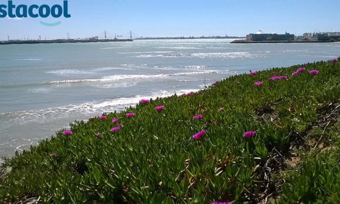 El Puerto de Santa Maria Villa | Luxury Family Villa at 50m from Natural Park with dunes & beach 300 m.