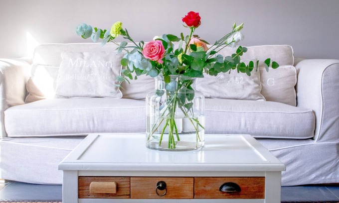 Municipality of Maasdriel Apartment | Luxury Guesthouse near `s-Hertogenbosch