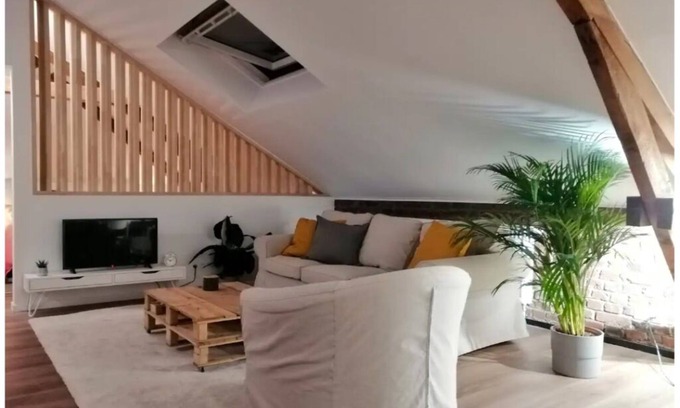 Namur Apartment | Luxury Loft in a 1932 "Maison de maitre"