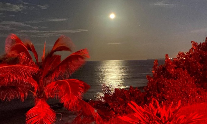 Arecibo Apartment | Luxury Ocean Front Apartment for a Getaway