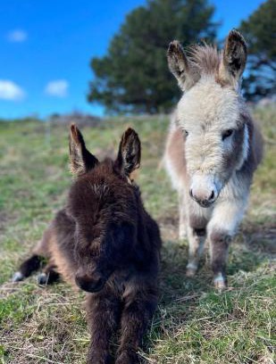 Puponga House | Mælstrøm End Eco Farmstay