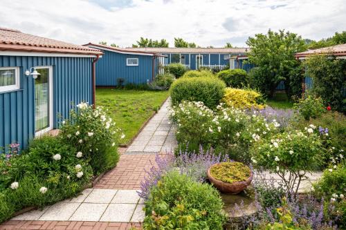 Meschendorf Apartment | Möve Aba Appartment 22