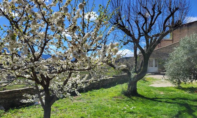 Faucon House | Maison en Provence Avec Jardin Arboré et vue sur le Mont Ventoux