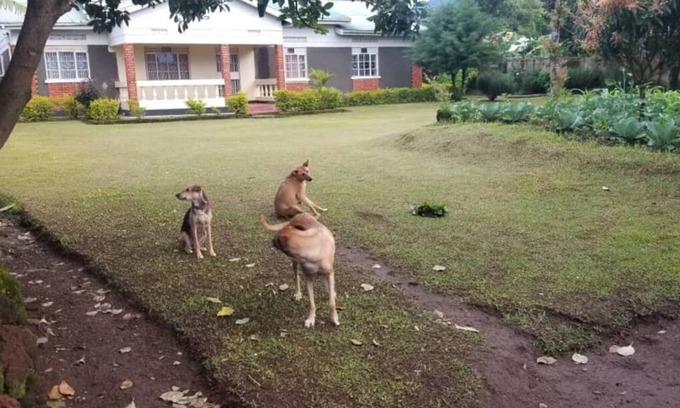 Kisoro House | Make memories with the fam: Perfect vacation home. walking to top attraction.