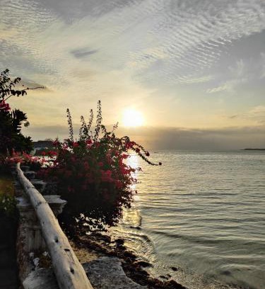 Pongwe Hotel | Malcom Ocean View Retreat