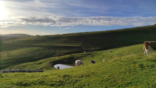 Velo Veronese Apartment | Malga Laben Apartments