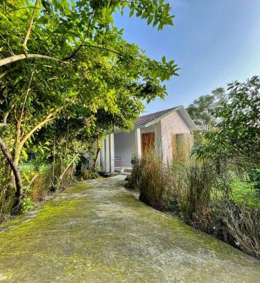 Mohaan House | Mandaal Corbett