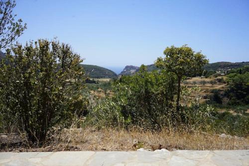 Manitochori House | Manitohori in the Trees