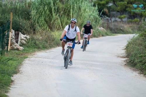 Kosljun Apartment | Manuela Apartmani Proboj