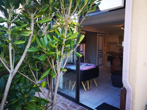 Saint-Cyprien Plage Apartment | MAS de La Mer