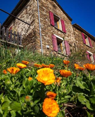 Saint-Michel-de-Deze Bed & Breakfast | Mas Soubeyran