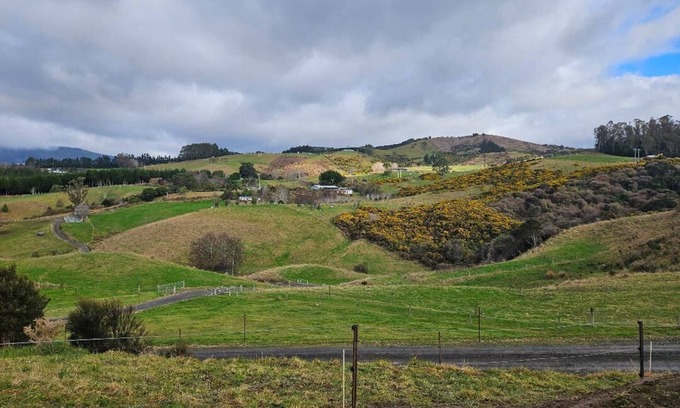 Dunedin House | Melmarie Cosy Retreat X by Tiny Away