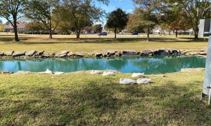 Brownsville House | Mercer Road - Comfy & Beautiful Country Home