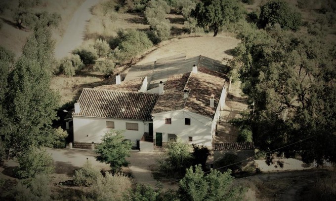 Hornos House | Mesoncillo NEO