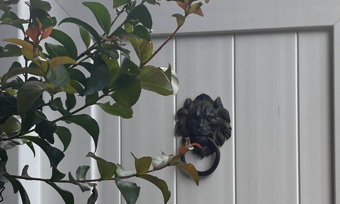 The Point Condo | Mi Casa Su Casa by the sea.Cozy 1 bedroom guest suite in Newport with WiFi, AC