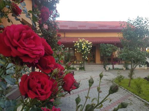 Cluj-Napoca Villa | Mill House