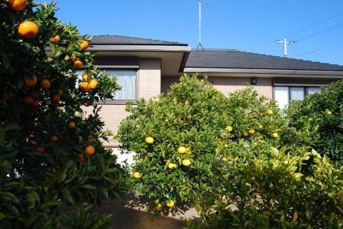 Futami House | Minpaku Orange Garden - Vacation STAY 18601