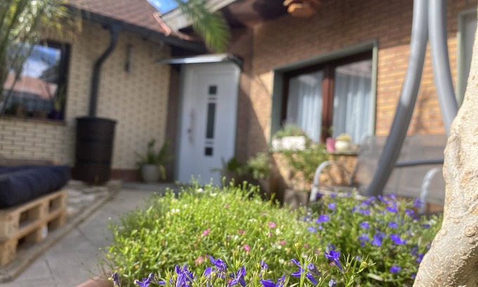 Weissenfels House | Modern 4-star apartment - stylish comfort, relaxation for people and dogs!