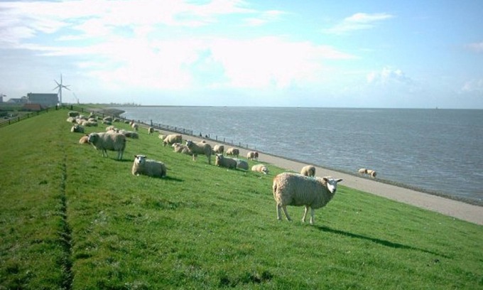 Tzummarum Ski Chalet | Modern chalet with oven, near the Wadden Sea