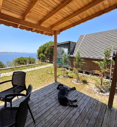 Marmara Other | MOLA Bungalow