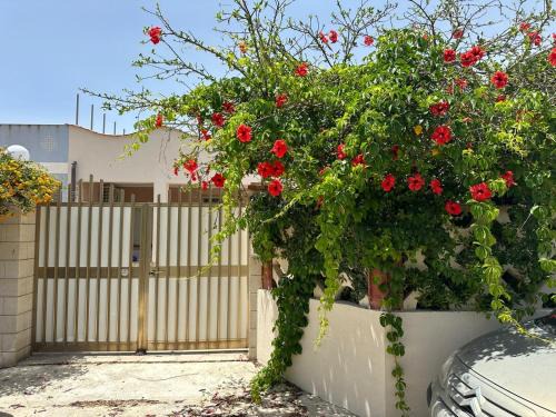 Granelli Villa | Monsant Casa Vacanze