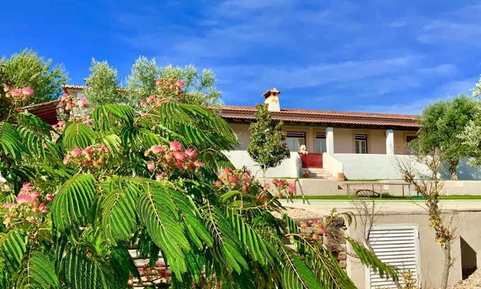 Pedrogao House | Monte das Oliveiras - Country House