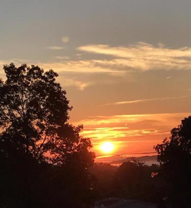 Tryon House | Moore Road Cabin 1 Pet Friendly