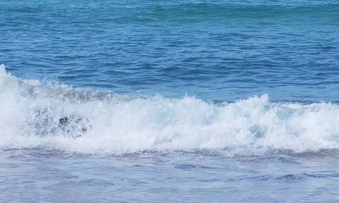 Morrumbene House | Morrumbene Beach Resort