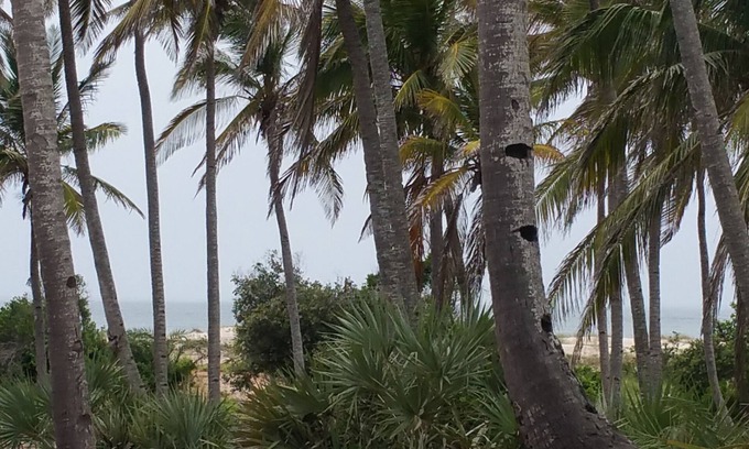 Morrumbene House | Morrumbene Beach Resort