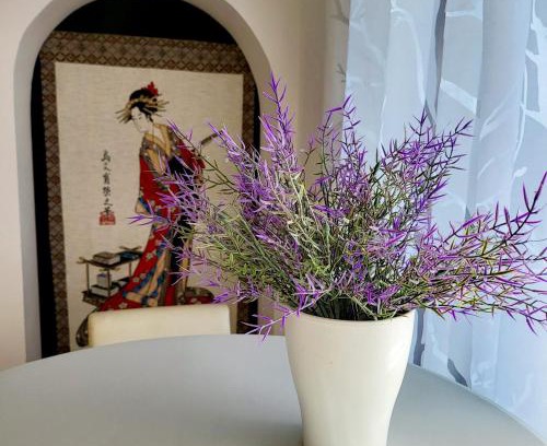 Schonach im Schwarzwald Apartment | Mountain-top with balcony