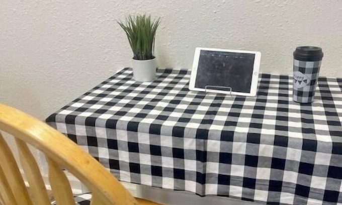 Colbert House | Mountain View Chapel Apartment (pet friendly)