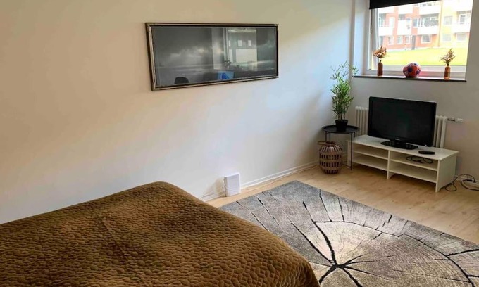 Helsingborg Apartment | Mysig & lugn lägenhet centralt