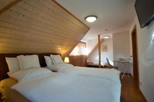 Schneeberg Apartment | Nachhaltige, veganfreundliche Unterkunft direkt am Bergbaulehrpfad in Schneeberg