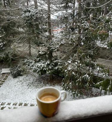 Camigliatello Apartment | NadSan Mountain House