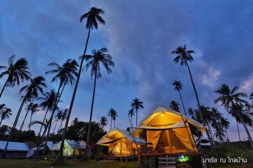 Ko Mak Resort | Naivacha Tent Koh Mak