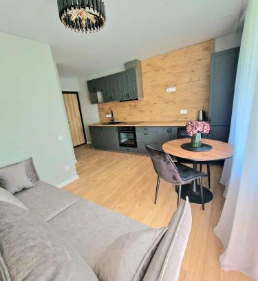 Plunge Apartment | Namų mūza "B" SELF CHECK IN