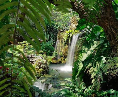 Ayutthaya Apartment | Natural Place