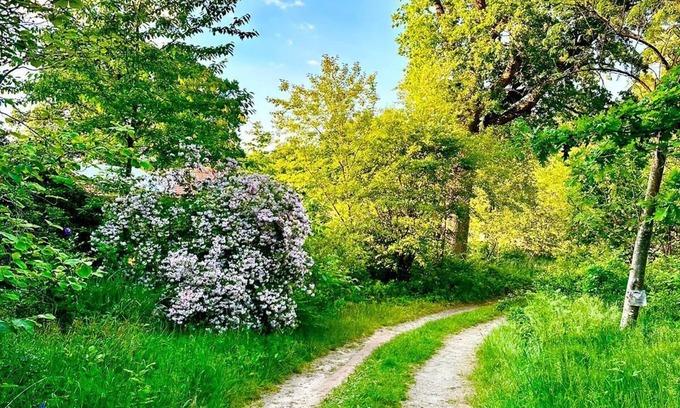 Glusingen Cabin | Nature and Calmness Lichtheideheim Hütte 2