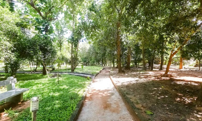 Kalapettai Hotel | Nature Breeze Resort and Spa