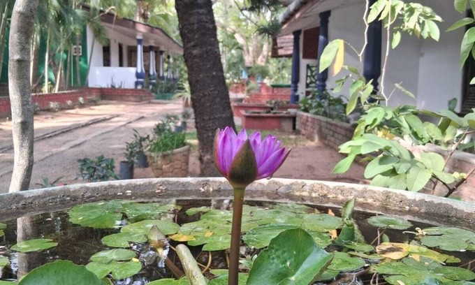 Moragaswewa Cabin | Nature Lodge Habarana